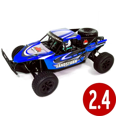 10th scale buggy